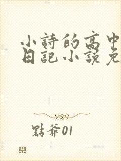 小诗的高中成长日记小说免费阅读封面
