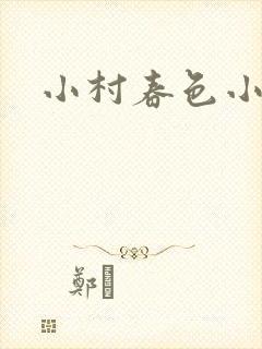 小村春色小说