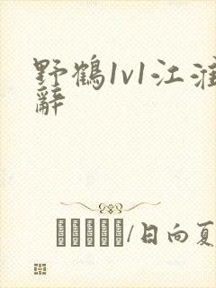 野鹤1v1江淮辞