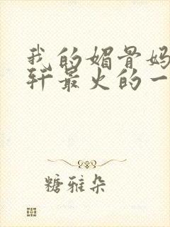 我的媚骨妈妈林轩最火的一句