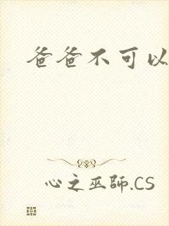 爸爸不可以封面