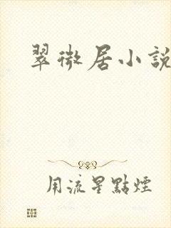 翠微居小说