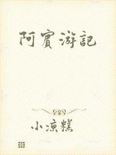 阿宾游记封面