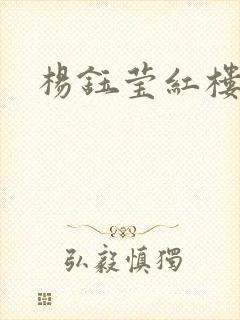 杨钰莹红楼封面