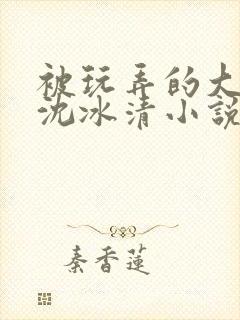 被玩弄的大小姐沈冰清小说封面