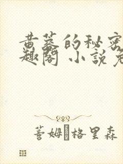 黄蓉的秘密 笔趣阁 小说免费阅读下载