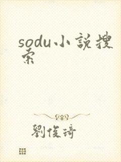 sodu小说搜索