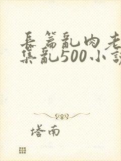 长篇乱肉老师合集乱500小说封面