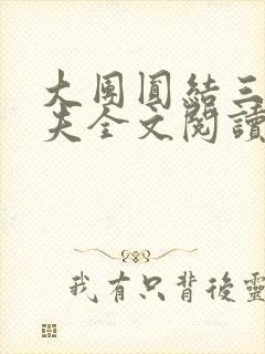 大团圆结三女一夫全文阅读封面