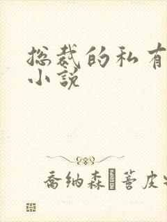 总裁的私有宝贝小说