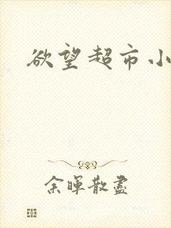 欲望超市小说