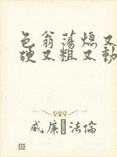 色翁荡熄又大又硬又粗又动态图