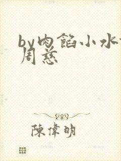 by肉馅小水饺周慈封面
