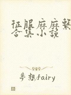 征服麻麻系列大合集小说