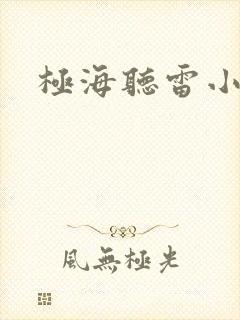 极海听雷小说封面