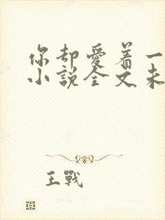 你却爱着一个他小说全文未删减免费封面