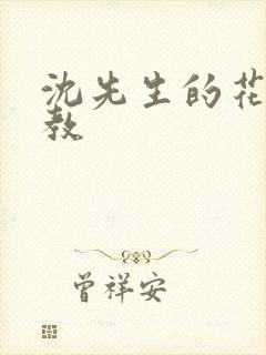 沈先生的花式管教封面