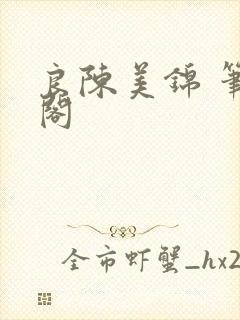 良陈美锦 笔趣阁封面