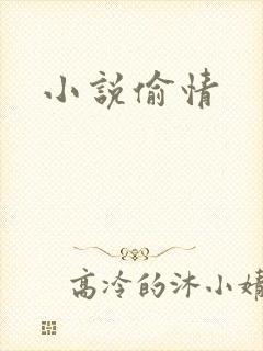 小说偷情