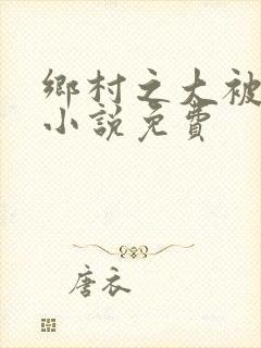 乡村之大被同眠小说免费