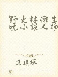 野火林潮生林晚晚小说人物野火