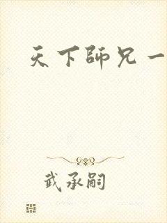 天下师兄一般黑封面