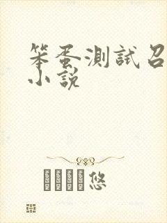 笨蛋测试召唤兽小说