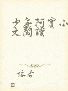 少年阿宾小说全文阅读封面