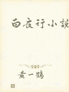 白夜行小说下载