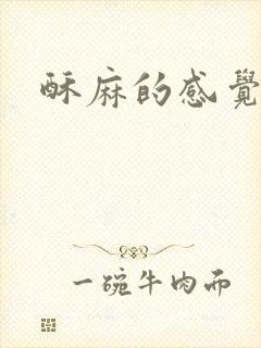 酥麻的感觉小说
