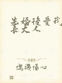 先婚后爱我的市长大人