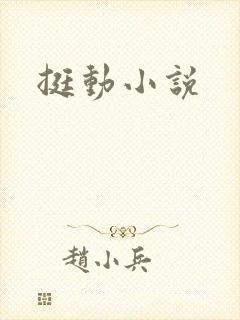 挺动小说