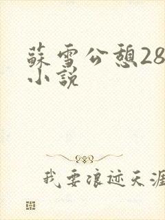 苏雪公憩28篇小说