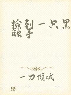 捡到一只黑心小触手