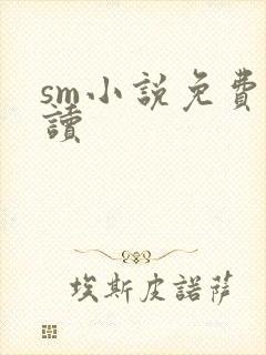 sm小说免费阅读封面