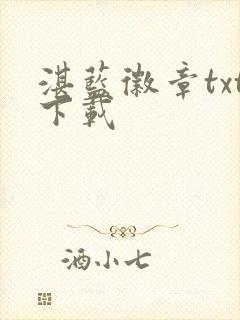 湛蓝徽章txt下载封面