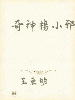 奇神杨小邪封面