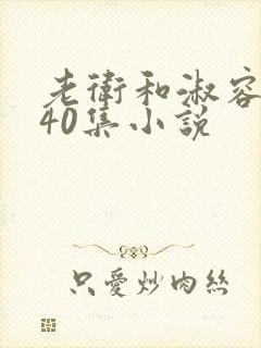 老卫和淑容1-40集小说