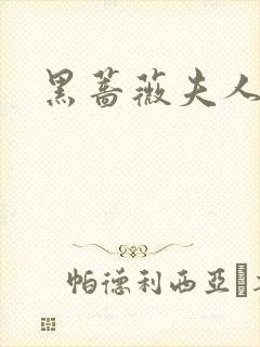 黑蔷薇夫人封面