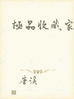 极品收藏家