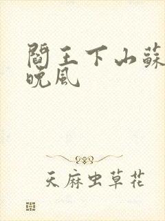 阎王下山苏文陆晚风封面