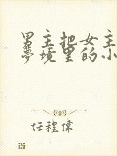 男主把女主拖进梦境里的小说