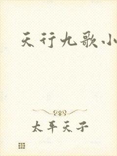 天行九歌小说