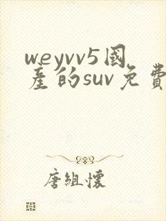 weyvv5国产的suv免费