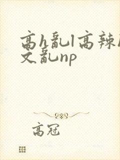 高h乱l高辣h文乱np封面