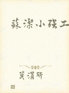 苏洁小强工地情