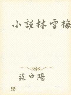 小说林雪梅