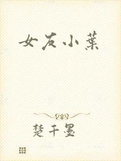 女友小叶