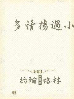 多情杨过小说封面