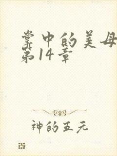 掌中的美母版主第14章封面